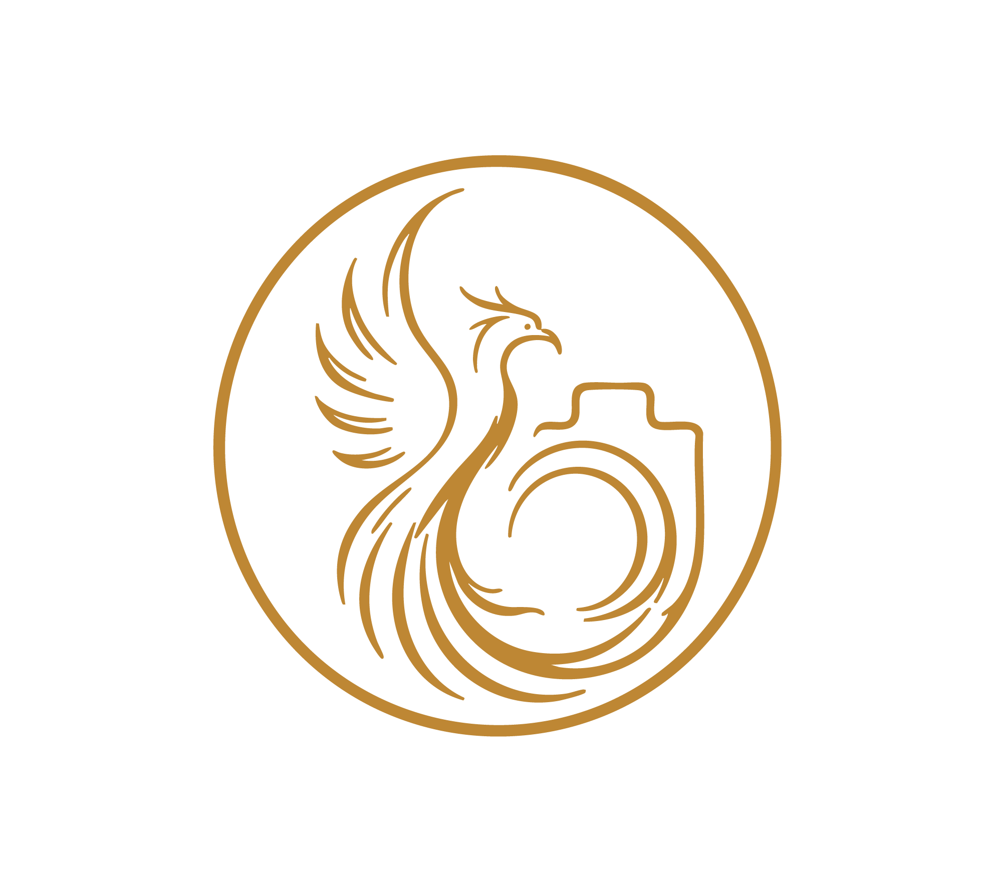 Phoenix Designs Photography phoenix and camera emblem